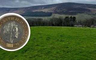 Two fields in Greenfield were listed for £1