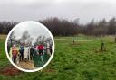 Friends of Sholver Millennium Green are planning another large scale tree planting event