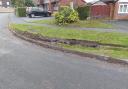 A refuse lorry was trying to move past a parked vehicle when it mounted the grass verge