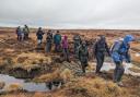 Volunteers, crossing a stone dam, work rain or shine