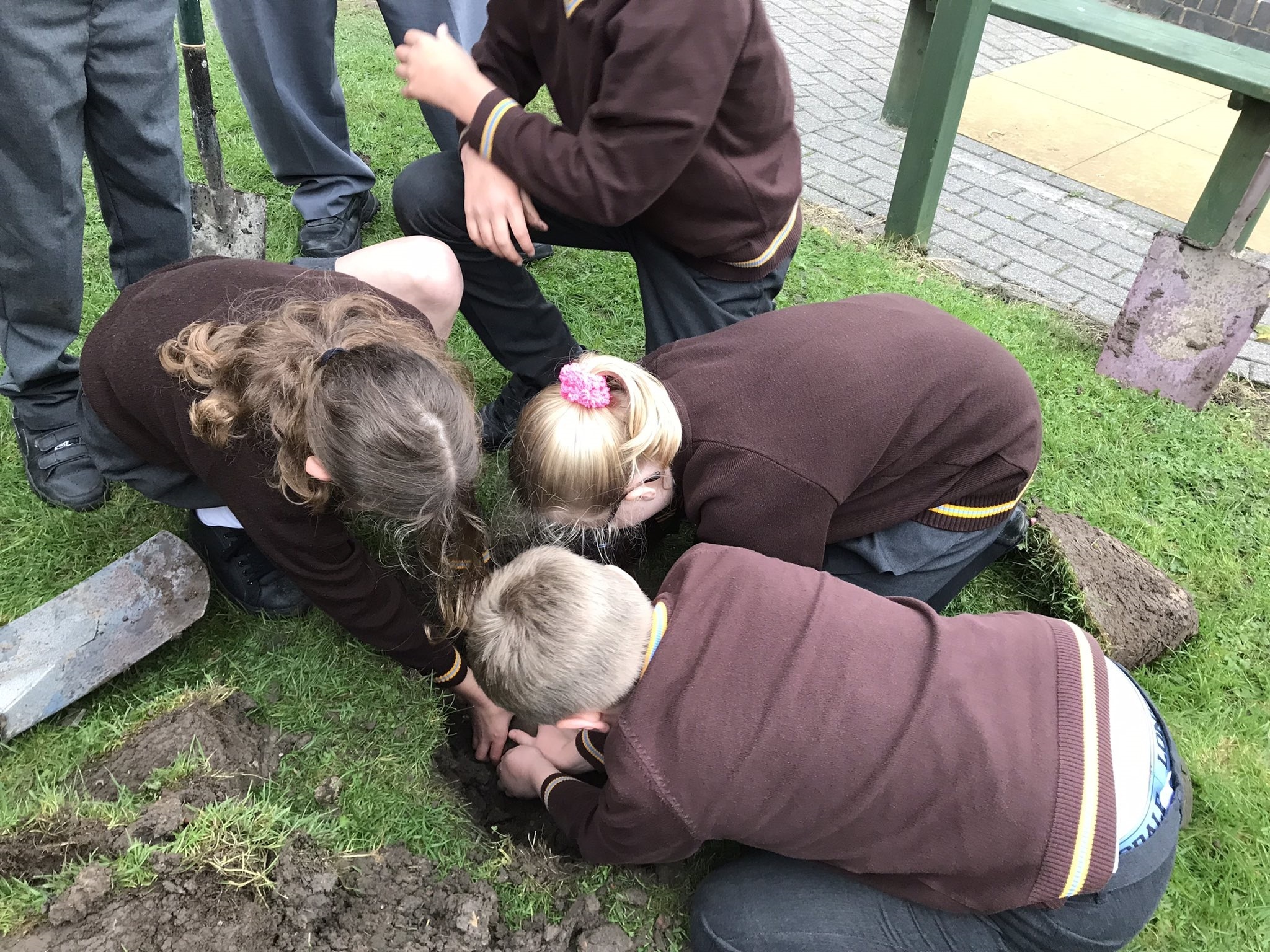 Pupils planting the sapling