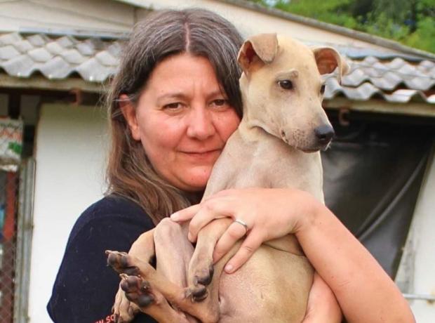 The Oldham Times: Rachel Bean teaches canine first aid around the world.