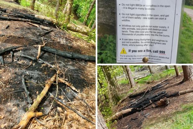 Warning over 'danger' camp fires in woodland