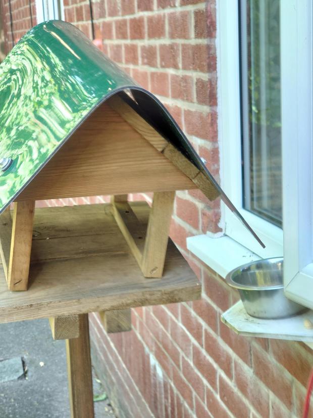 The Oldham Times: Residents enjoy watching squirrels eat from the bird tables. Photo: Brian Walters
