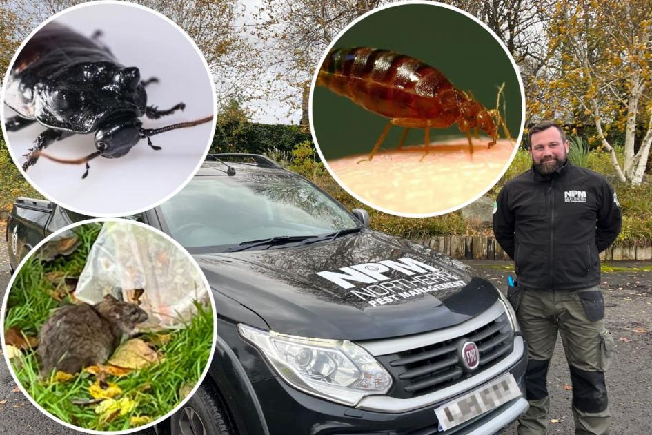 Oldham: Cockroaches, bedbugs, rats - a day with pest control