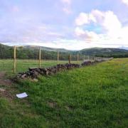 The proposed dog walking field in Dobcross. Photo: Hilton Architecture and Surveying Ltd. Free to use for all newswire partners. Caption: Charlotte Green