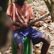 Channel 4 Dispatches reveals how Cadbury profits from illegal child labour (Dispatches: Channel 4)