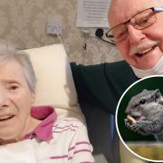 Margaret and Brian Walters. Inset: Squirrel