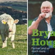 Katie the cow, left, and Bryan Hough's book
