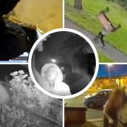 There were five thieves in Oldham who will be remembered for their bizarre thefts