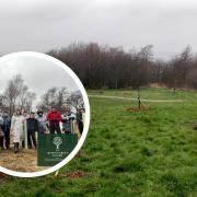 Friends of Sholver Millennium Green are planning another large scale tree planting event