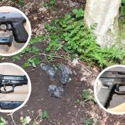 The weapons were discovered buried near a tree