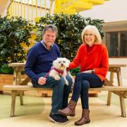 Phil and Elizabeth Ashton have fostered more than 40 dogs over the years