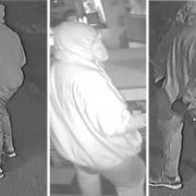Images of the man who allegedly broke in