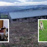 Pennine Animal Welfare Society was looking to continue its work in Saddleworth