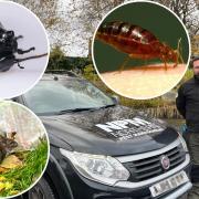 A day on the road with pest control