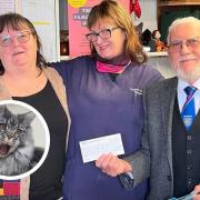 Oldham Cat Rescue received a generous donation this week