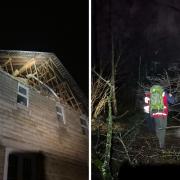 Rescuers searched through the woods in the storm for displaced residents
