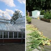 Gardeners at the growing hub are reportedly being made redundant by the end of the month