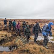 Volunteers, crossing a stone dam, work rain or shine