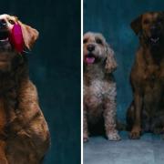 Chilli has appeared front and centre of a new ad campaign