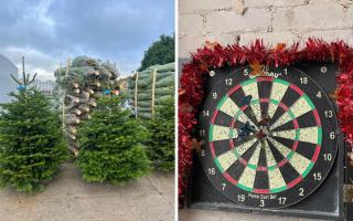 Shoppers have three chances to hit a bullseye to win a Christmas tree